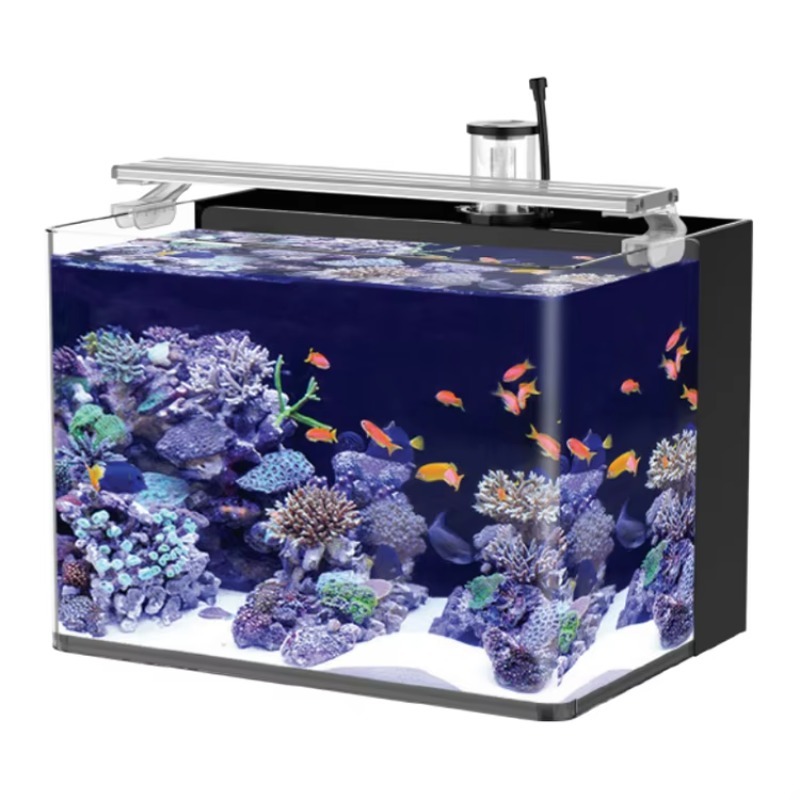 Marine Aquarium Live - Table Curved Saltwater Marine Fish Tank