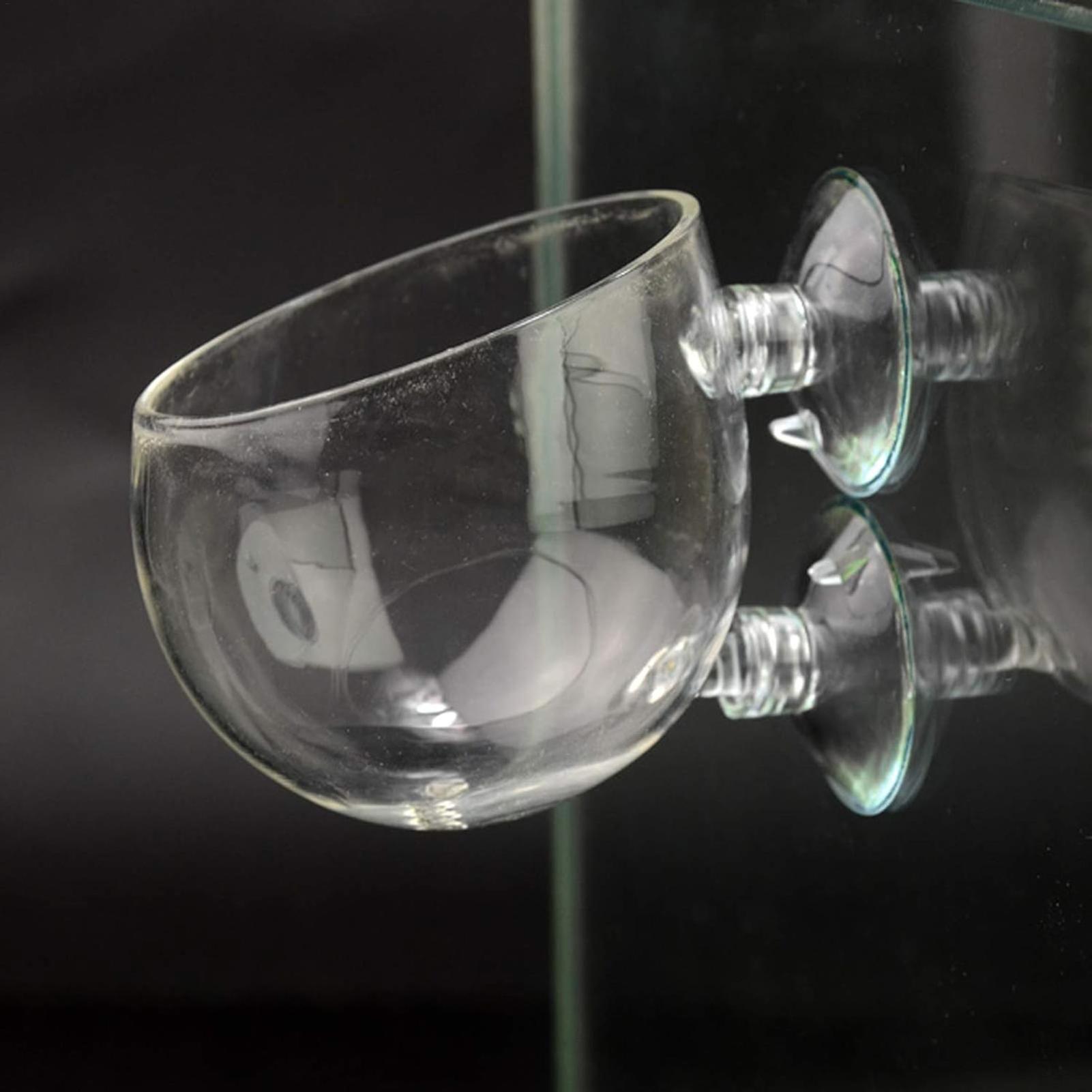 Aquarium Plant Holder Glass Aq - Marine Aquarium Live 评论和价格