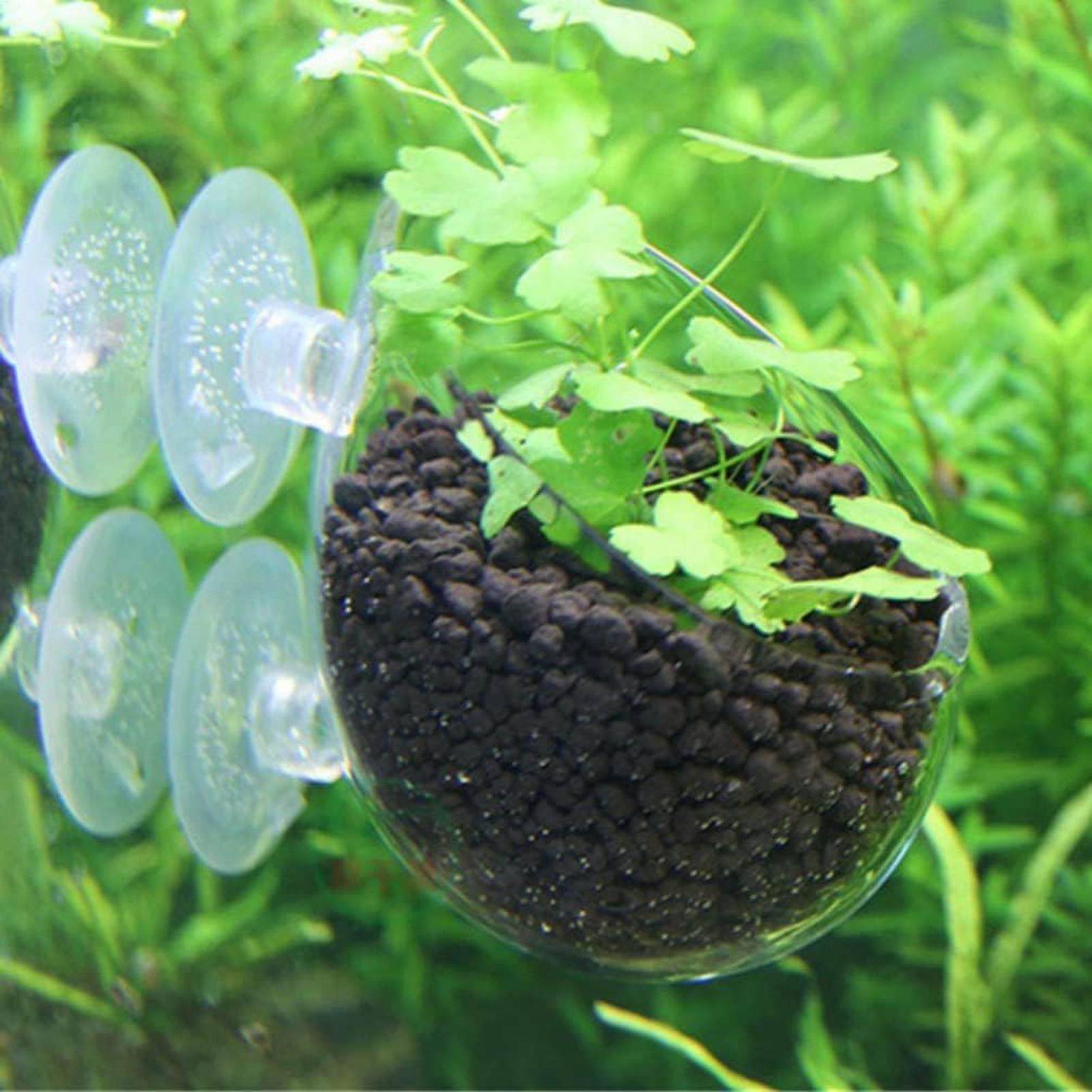 Aquarium Plant Holder Glass Aq - Marine Aquarium Live 评论和价格