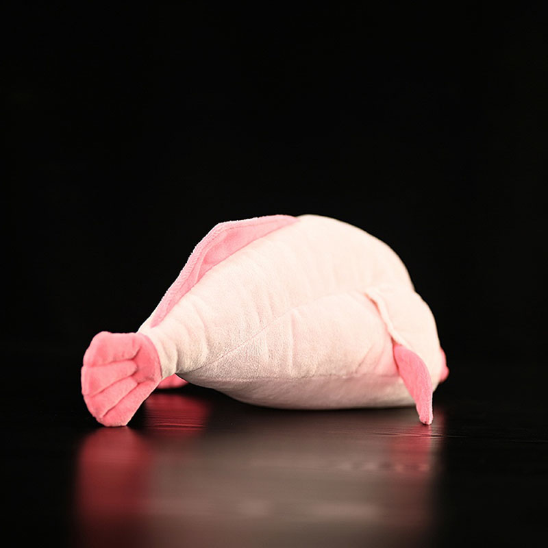 Simulated Animal Blobfish Sea  - Aquarium Marine Park 评论和价格