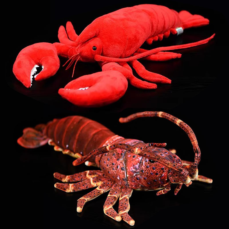 Simulated Animal Australia Spi - Aquarium Marine Park 评论和价格