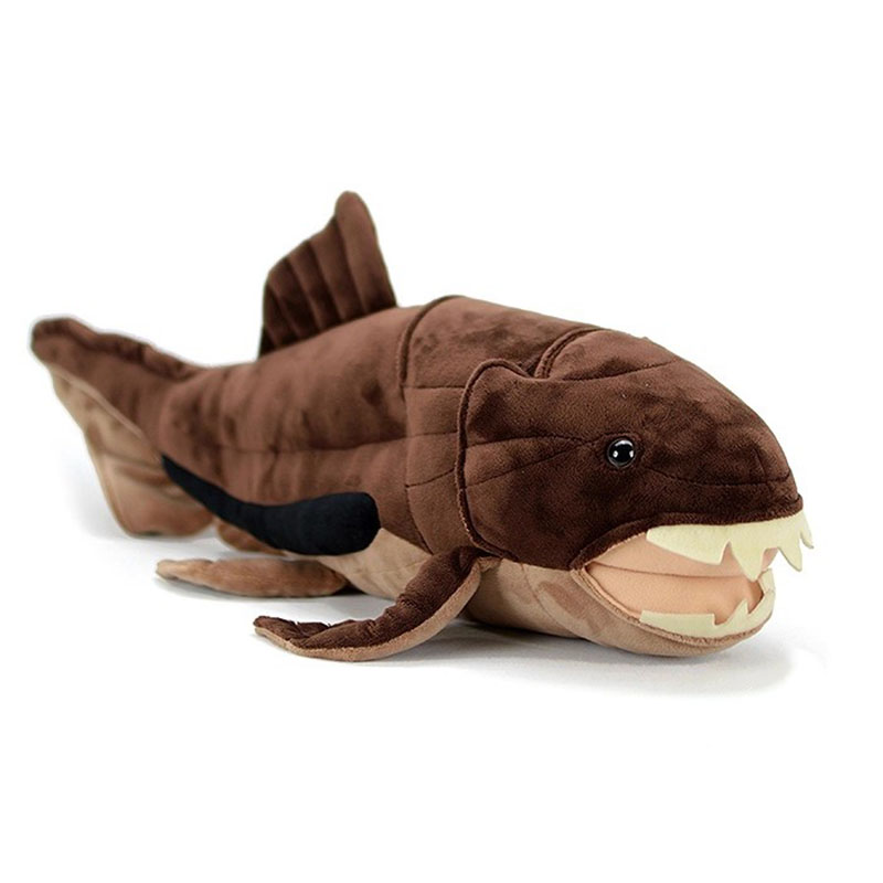 Dunkleosteus terrelli Dunkle F - Aquarium Marine Park 评论和价格