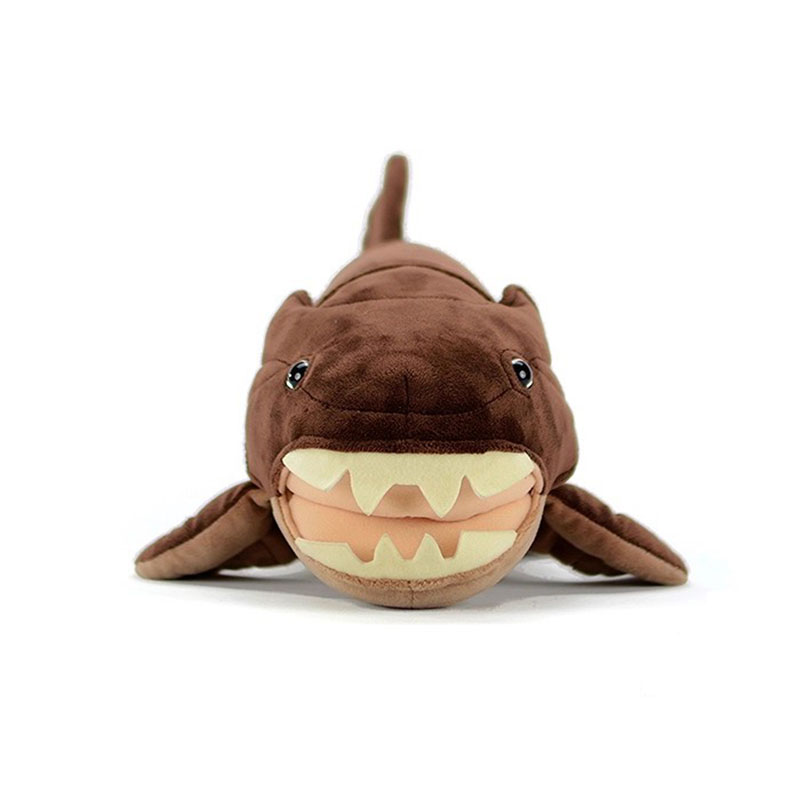Dunkleosteus terrelli Dunkle F - Aquarium Marine Park 评论和价格