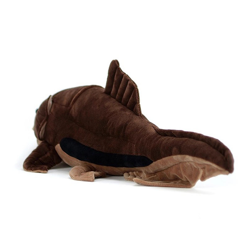 Dunkleosteus terrelli Dunkle F - Aquarium Marine Park 评论和价格