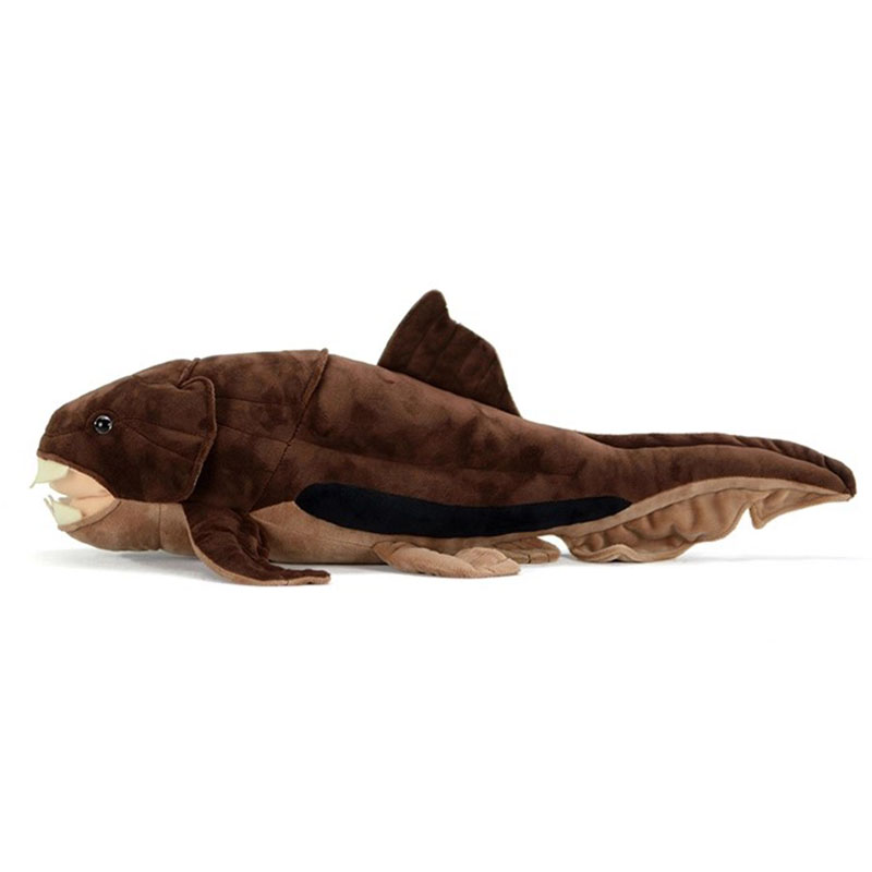 Dunkleosteus terrelli Dunkle F - Aquarium Marine Park 评论和价格