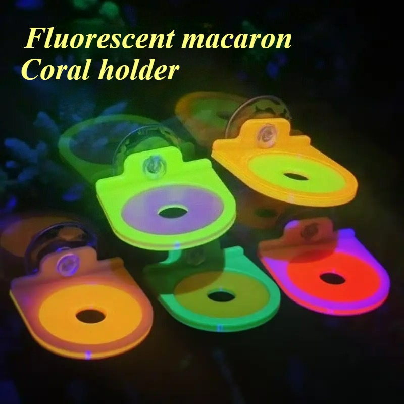 Color Random Coral Frag Holder - Marine Aquarium Live 评论和价格