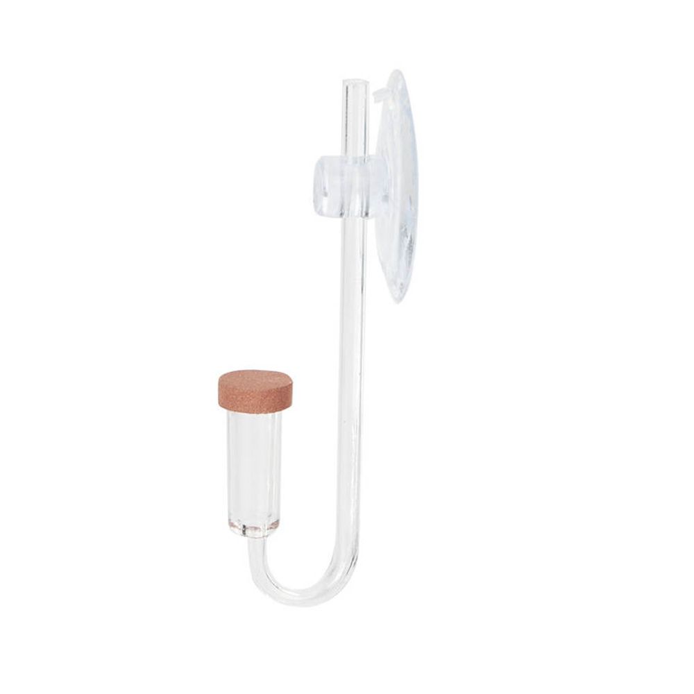 Acrylic Mini Fish Tank Live Pl - Marine Aquarium Live 评论和价格