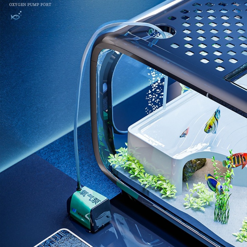 Transparent Luxury Fish Tank D - Marine Aquarium Live 评论和价格