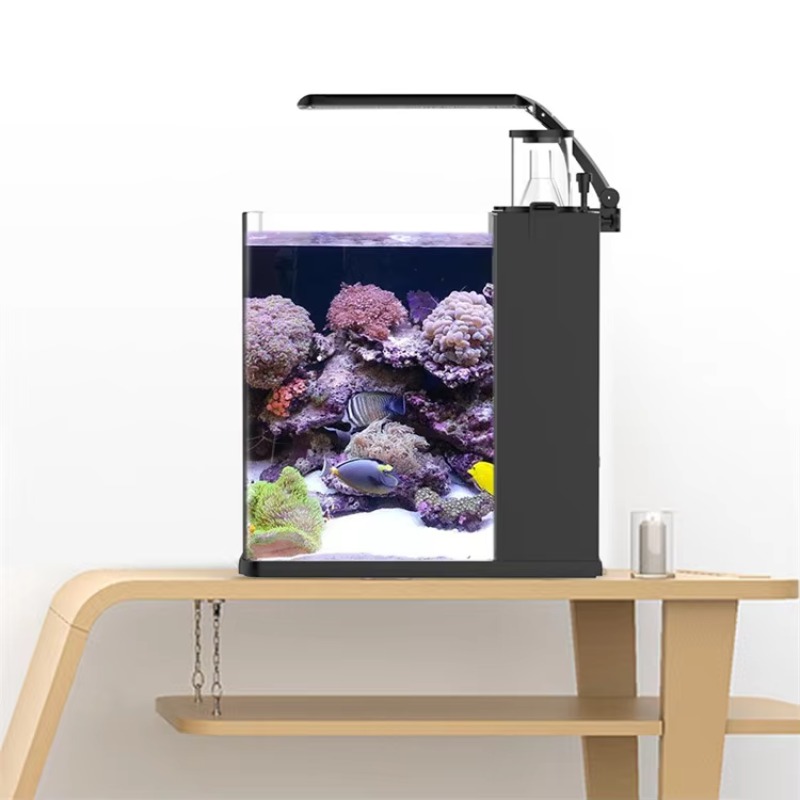 Table Curved Saltwater Marine  - Marine Aquarium Live 评论和价格