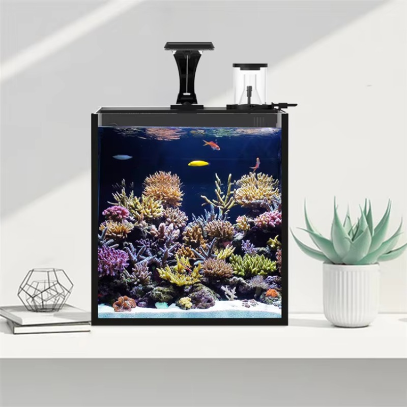 Table Curved Saltwater Marine  - Marine Aquarium Live 评论和价格